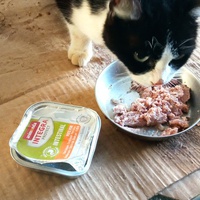 photo de livraison pour Ecole du Chat Libre de Caillerot