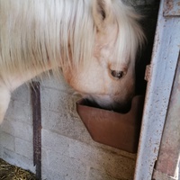 photo de livraison pour Au Bonheur Animal