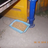 photo de livraison pour Pro Animals Finland ry