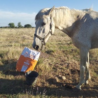 photo de livraison pour Equi-Libre : Droit à la Retraite Equine