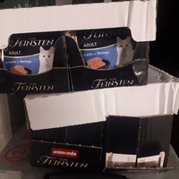 photo de livraison pour Nos amours de minous oubliés