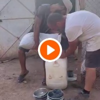 photo de livraison pour Help Adopt Moroccan Animals