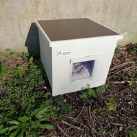 photo de livraison pour Matous du Patelin