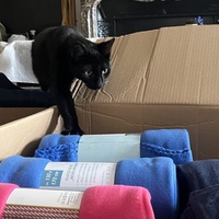 photo de livraison pour Association C.A.T.S. Chat Animal Terrien Solidarité
