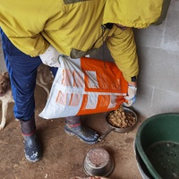 photo de livraison pour Alina & Anda