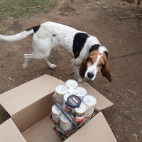 photo de livraison pour Les Chatoyants