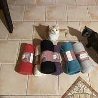 photo de livraison pour Les Chats de la Rue