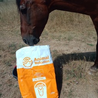 photo de livraison pour Equi-Libre : Droit à la Retraite Equine