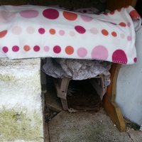 photo de livraison pour Ecole du Chat de Valmont