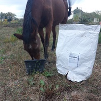 photo de livraison pour Happy Horse Day