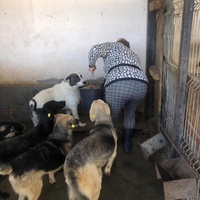 photo de livraison pour Nicoleta Stefanescu