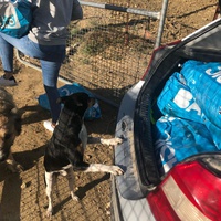 photo de livraison pour Huellas del Valle con Esperanza
