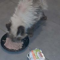 photo de livraison pour SOS COUSSINETS AUDOIS