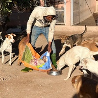 photo de livraison pour Le Coeur sur la Patte