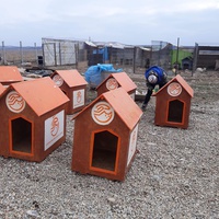 photo de livraison pour Animal Shields Oradea
