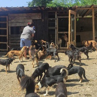 photo de livraison pour SPAS