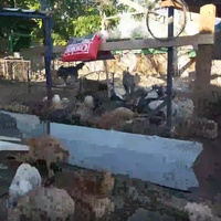 photo de livraison pour Animal World Struga