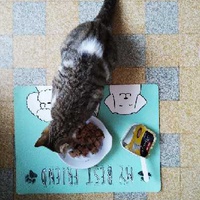 photo de livraison pour Les Chats Libres Condom 32