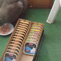 photo de livraison pour Croq'Chats