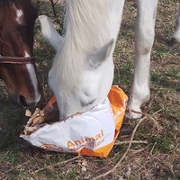 photo de livraison pour Equi-Libre : Droit à la Retraite Equine