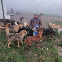 photo de livraison pour Silver Dog Srebrenica