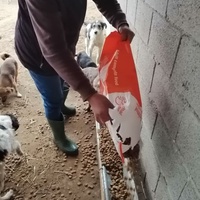 photo de livraison pour Mariuta