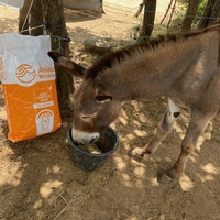 photo de livraison pour Equi-Vivre