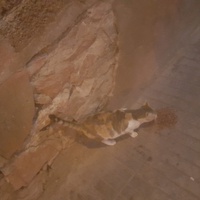 photo de livraison pour Ghita Muller El Jirari