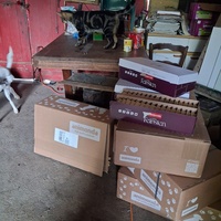 photo de livraison pour Collectif Sauvetage Chatons