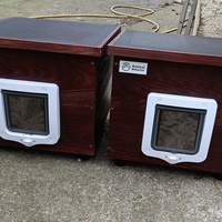 photo de livraison pour Cat Miaou