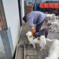 photo de livraison pour Associtia Axi Hope Romania