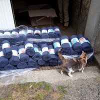 photo de livraison pour Ecole du Chat Libre de Caillerot