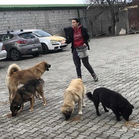 photo de livraison pour Civic Initiative Kane Korzo Skopje