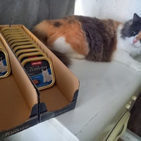 photo de livraison pour Les Pattounes de l'Espoir