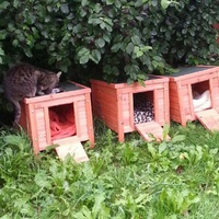 photo de livraison pour Chaperlipopette 77