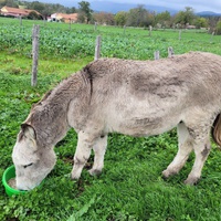 photo de livraison pour ADADA