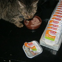 photo de livraison pour Au Bonheur des Chats Libres