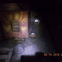 photo de livraison pour Pro Animals Finland ry