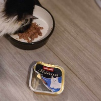 photo de livraison pour Ecole du Chat de Poitiers