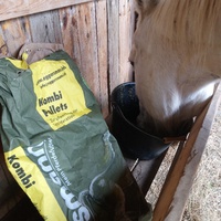 photo de livraison pour Chevaux Murmurent