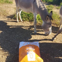 photo de livraison pour Equi-Libre : Droit à la Retraite Equine