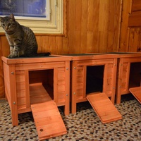 photo de livraison pour A.R.P.A Chats