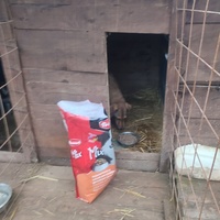 photo de livraison pour Samira Gagula