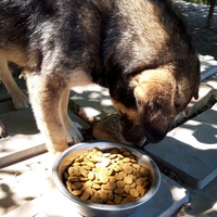 photo de livraison pour Svetlana Bjelogrlic