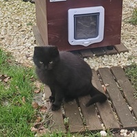 photo de livraison pour Aidons nos Molosses