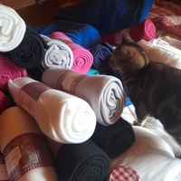 photo de livraison pour La Bleue