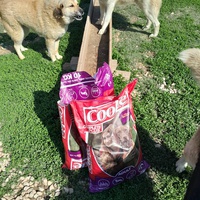 photo de livraison pour Happy Shelter Skopje