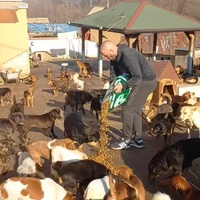 photo de livraison pour ПРИХВАТИЛИШТЕ ДРАЖЕВАЦ
