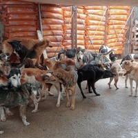 photo de livraison pour ADAN TETOUAN