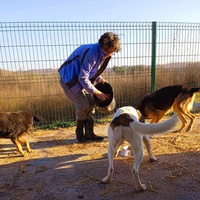 photo de livraison pour Sapa u srcu